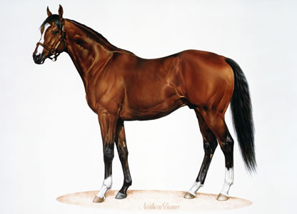 Northern Dancer